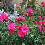 לינה וארוחת בוקר Le Balcon Du Fetre Chiroubles