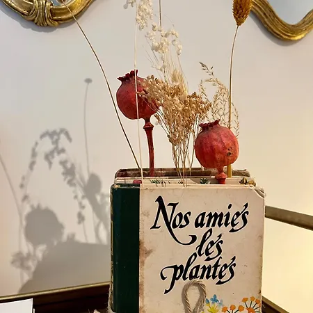 ベッド・アンド・ブレックファスト Le Balcon Du Fetre Chiroubles