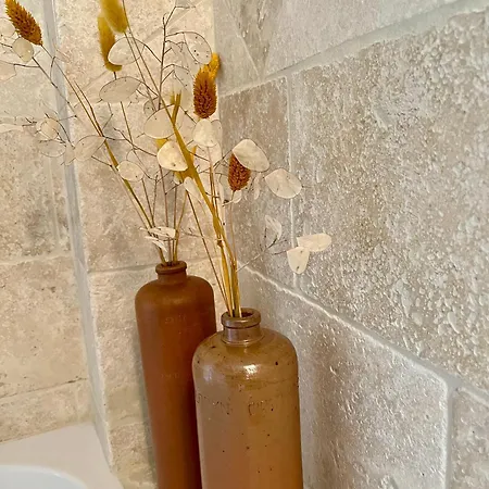 Le Balcon Du Fetre Bed & Breakfast Chiroubles