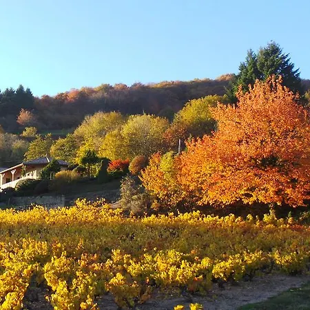 Le Balcon Du Fetre Bed & Breakfast