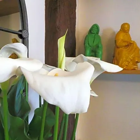 Le Balcon Du Fetre Bed & Breakfast